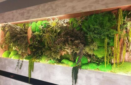 création d'un mur végétaux stabilisés Luc Gustin Jardins Urbains
