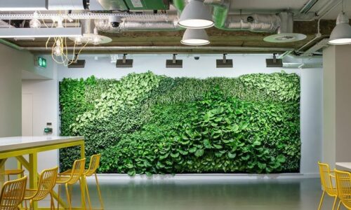 Création mur végétal intérieur pour entreprise jardins Urbains Liège
