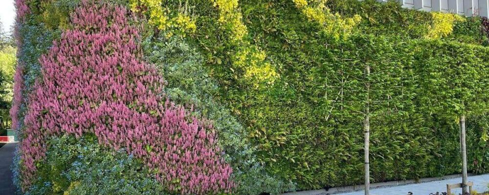 Jardins Urbains Liège création mur végétal vivant pour entreprise