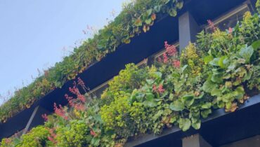 Création et entretien mur végétal vivants pour une usine par Jardins Urbains