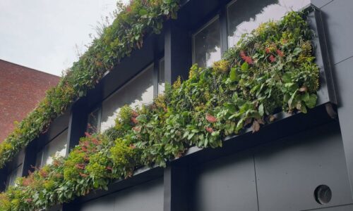 Création mur végétal vivant sur une façade Liège