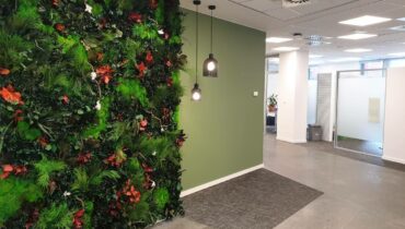 Création mur en végétaux stabilisés ou mur vert