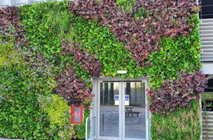 Jardins Urbains Liège création façade végétale vivante pour entreprise